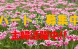パートで介護付き有料老人ホームのお仕事です♪無資格、未経験の方もお気軽にご応募ください♪夜勤があるからガッツリ稼げます♪【東淀川区】【パート社員】【ID：1291-ohy-n0-p-s】 イメージ