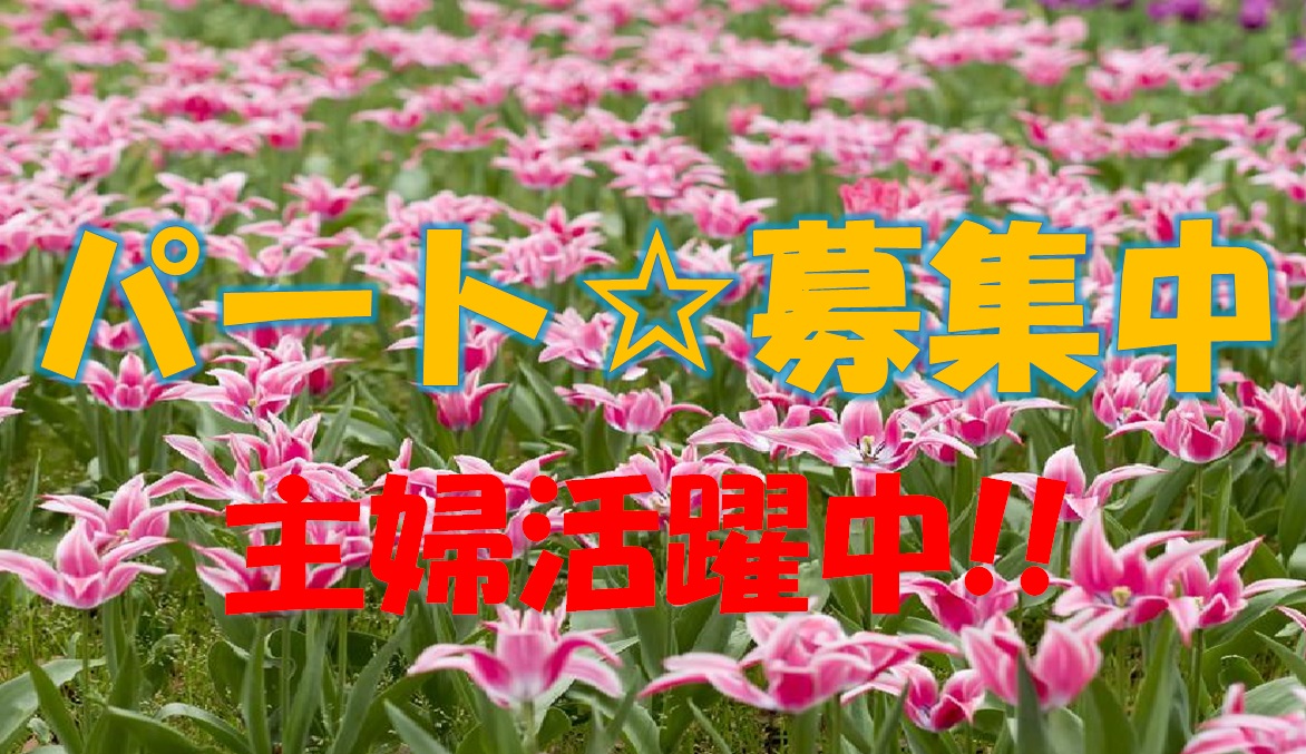 パートで介護付き有料老人ホームのお仕事です♪無資格、未経験の方もお気軽にご応募ください♪夜勤があるからガッツリ稼げます♪【東淀川区】【パート社員】【ID：1291-ohy-n0-p-s】 イメージ