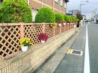 ｶﾞｰﾃﾞﾆﾝｸﾞ♪